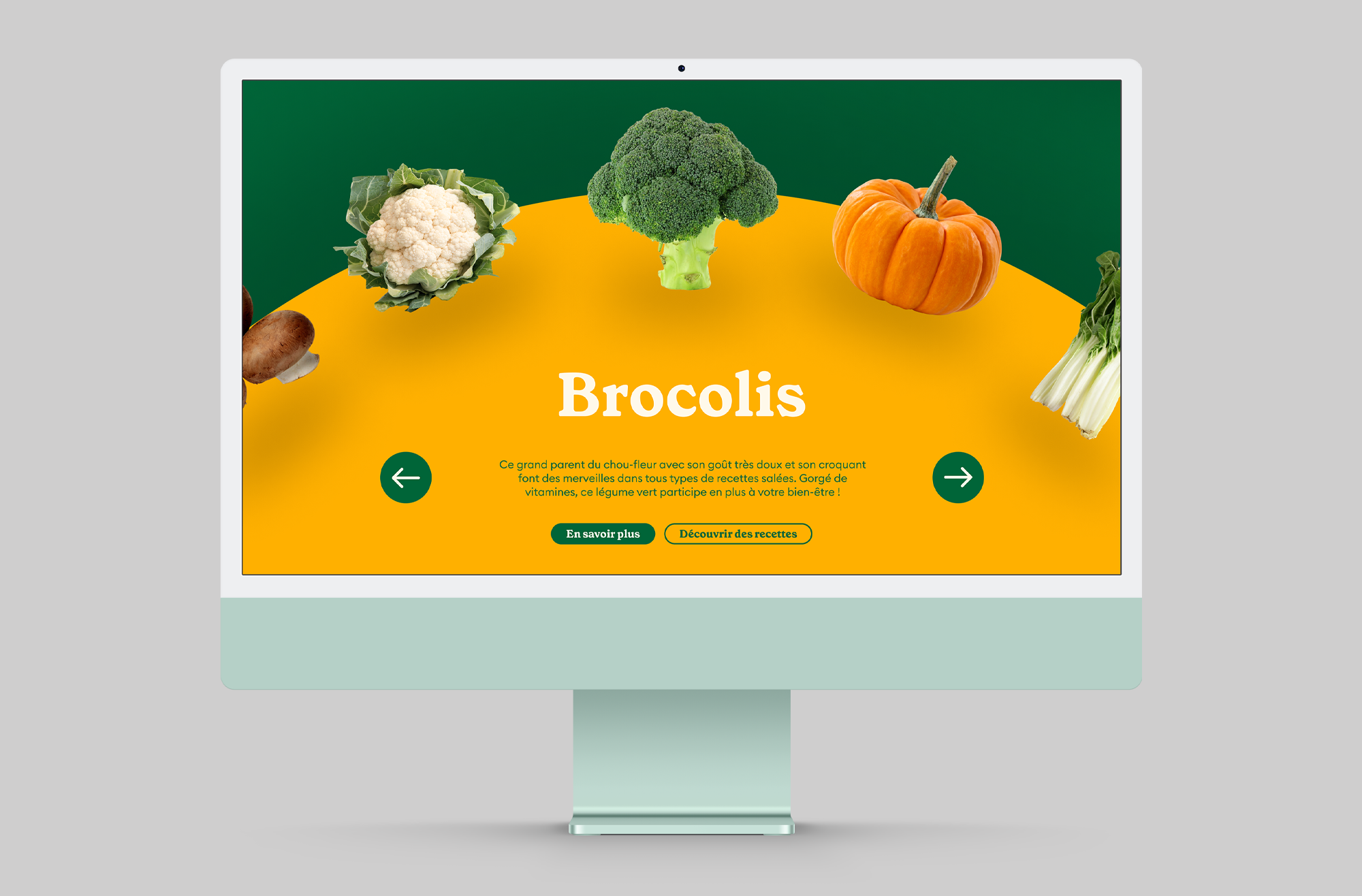 Mise en situation du projet de site Internet des légumes de saison
